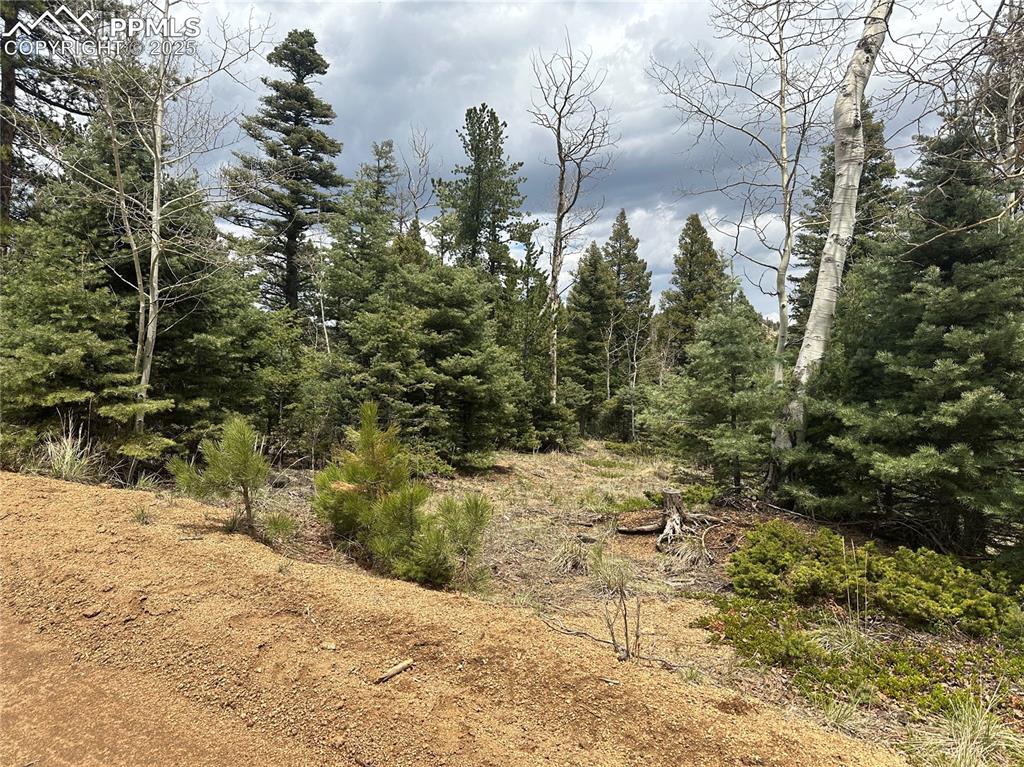 357 Big Horn Road