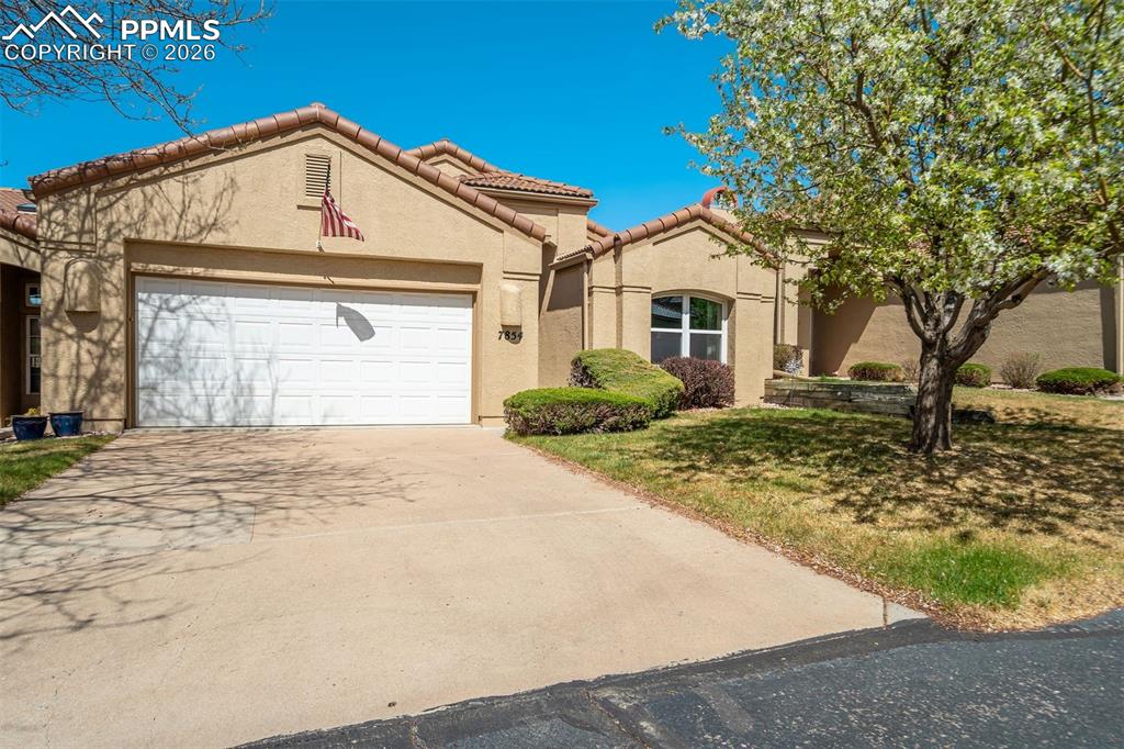 7854 Antigua Point