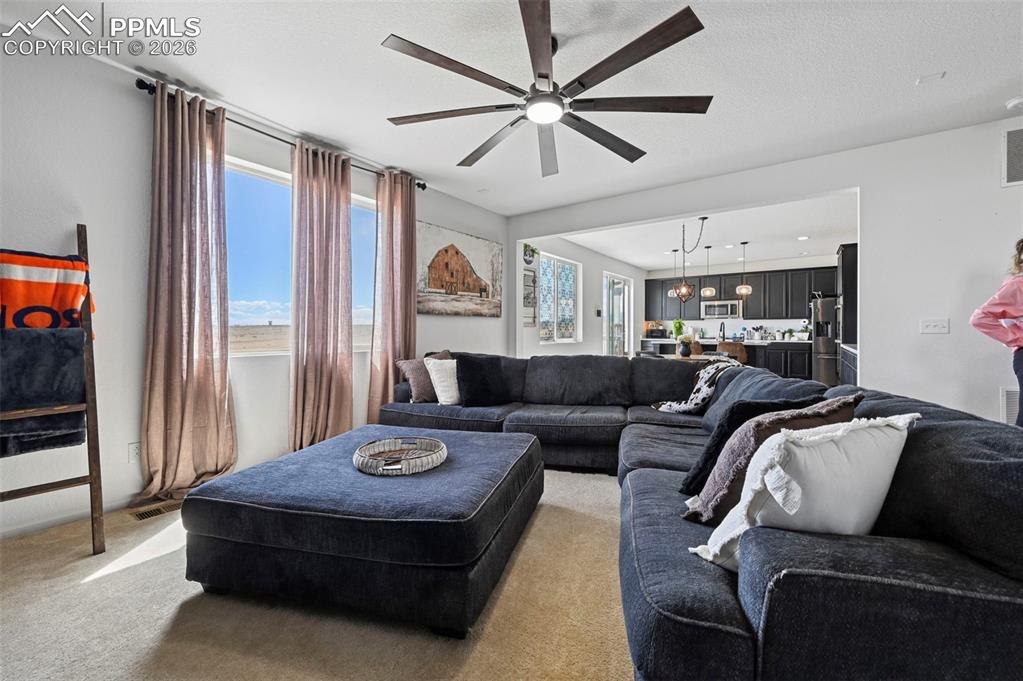 8177 Buffalo Horn Drive