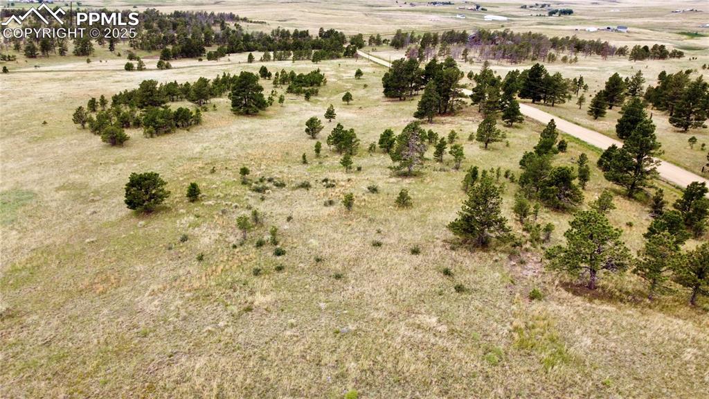 31963 Cattle Circle