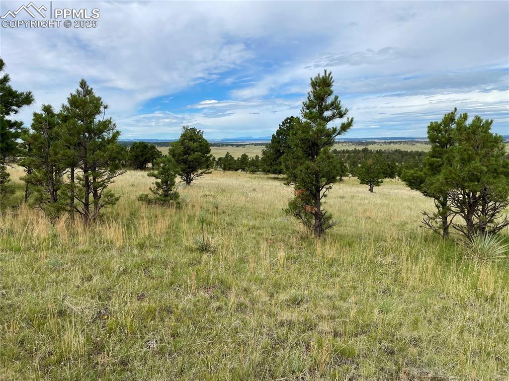 31963 Cattle Circle