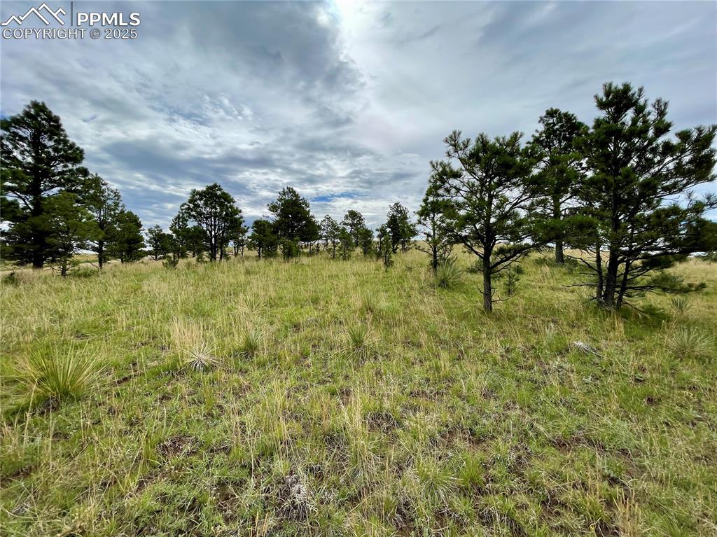 31963 Cattle Circle
