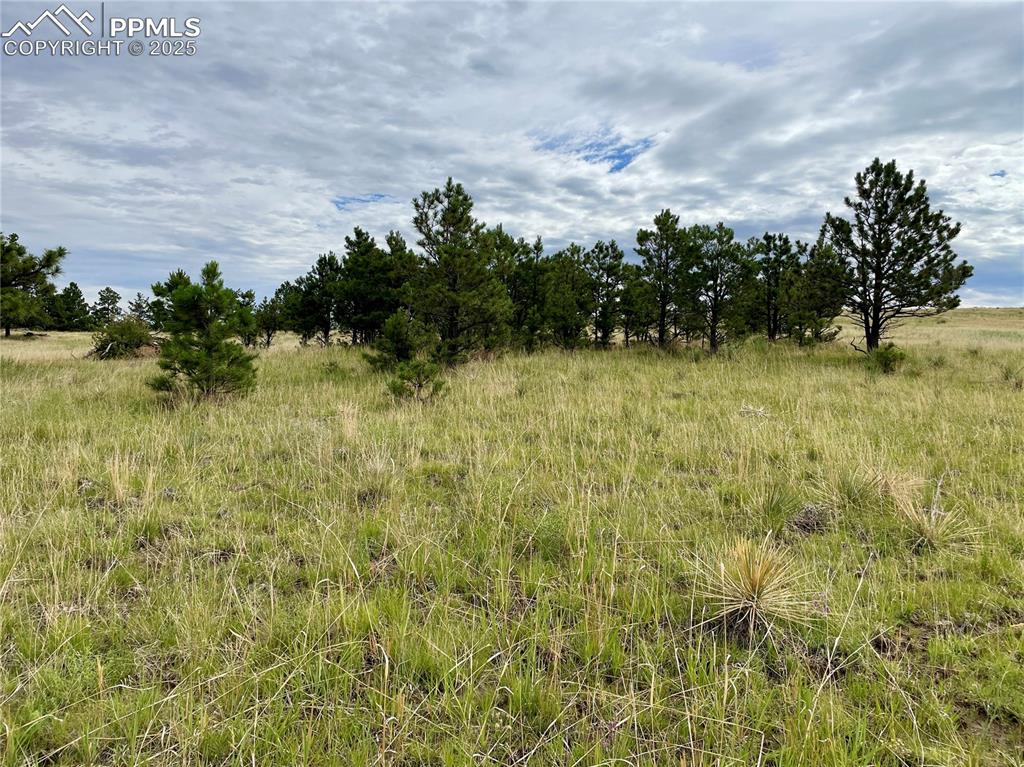 31963 Cattle Circle