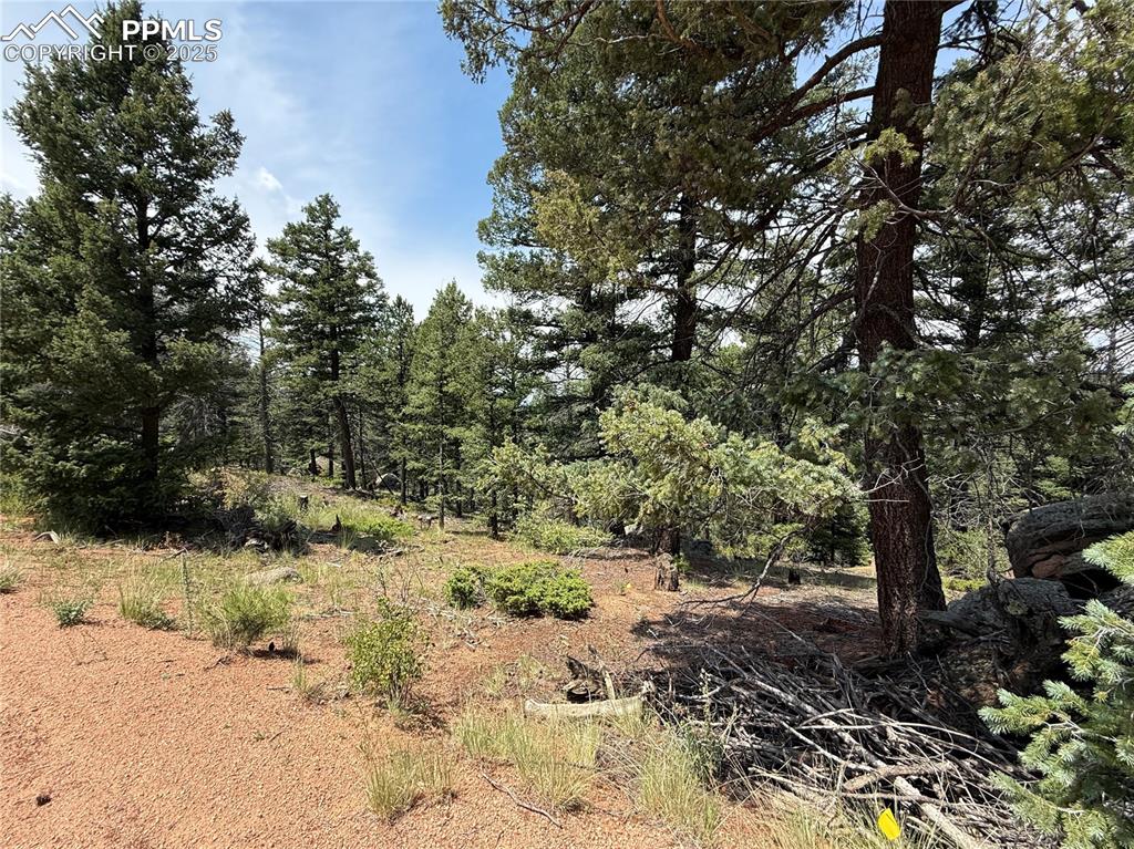3546 N Mountain Estates Road