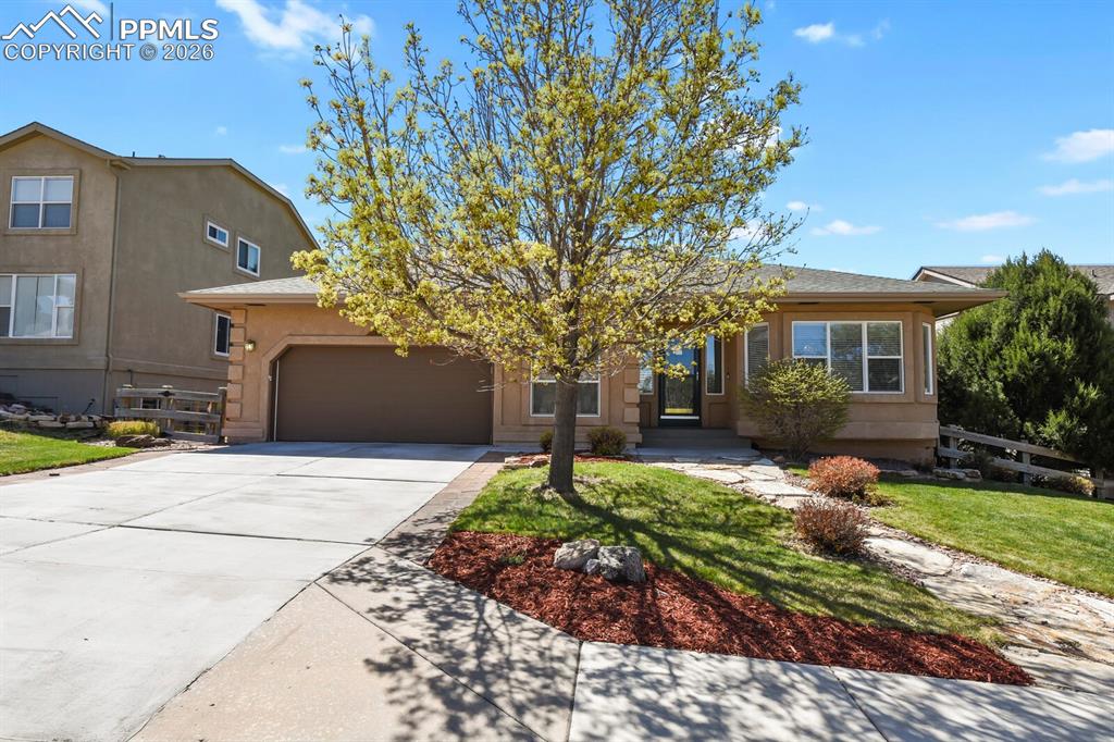 1355 Almagre Peak Drive