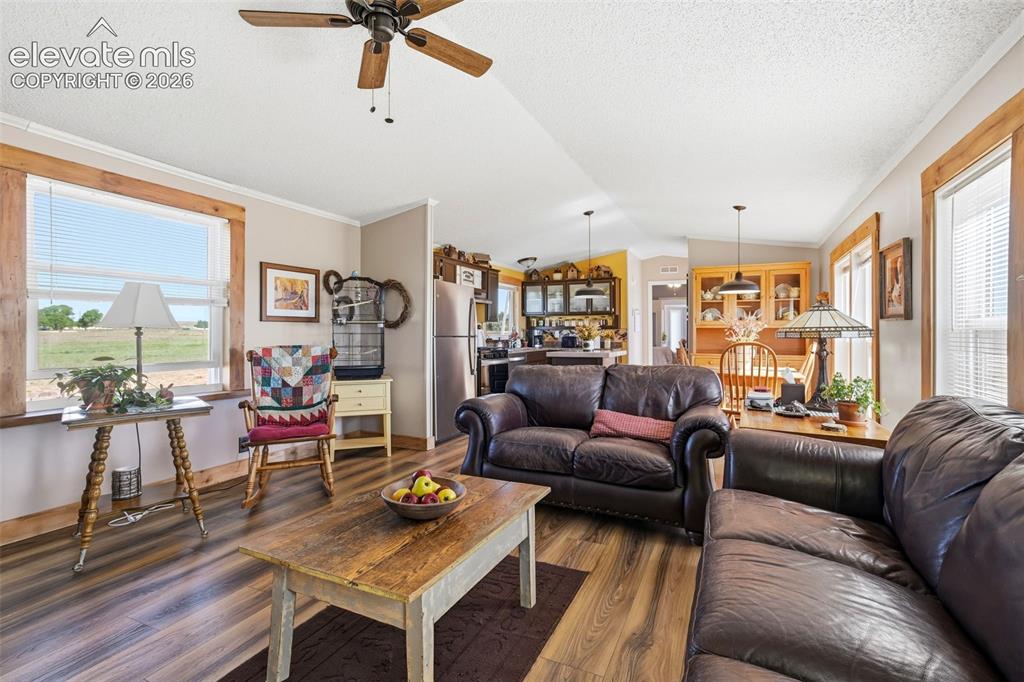 6355 Field View