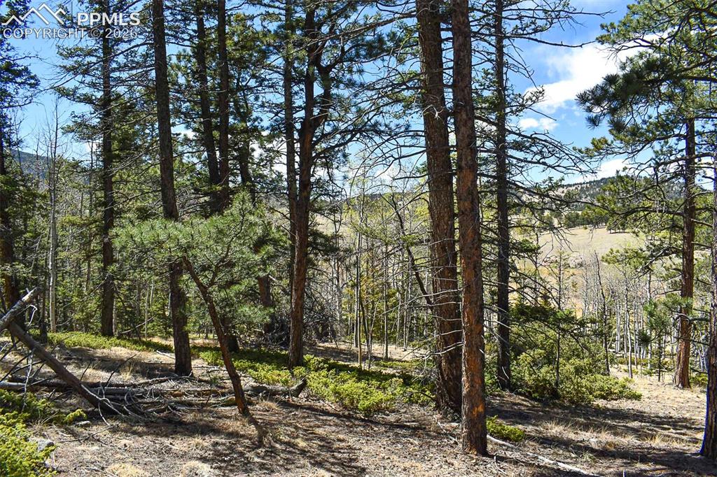 289 Timberline Drive