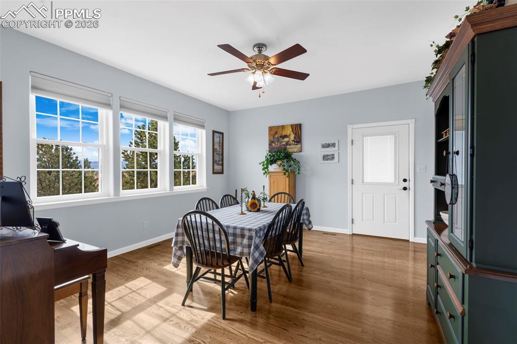 1655 W Camino De Los Ranchos