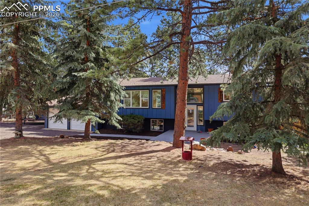 307 Evergreen Street