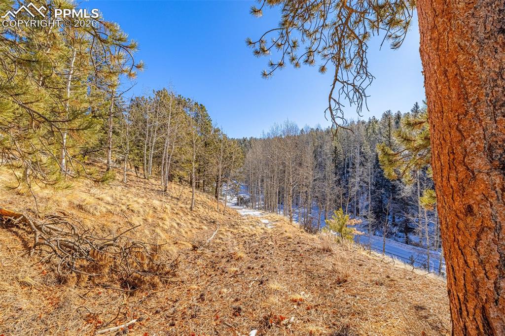 772 E Bison Creek Trail