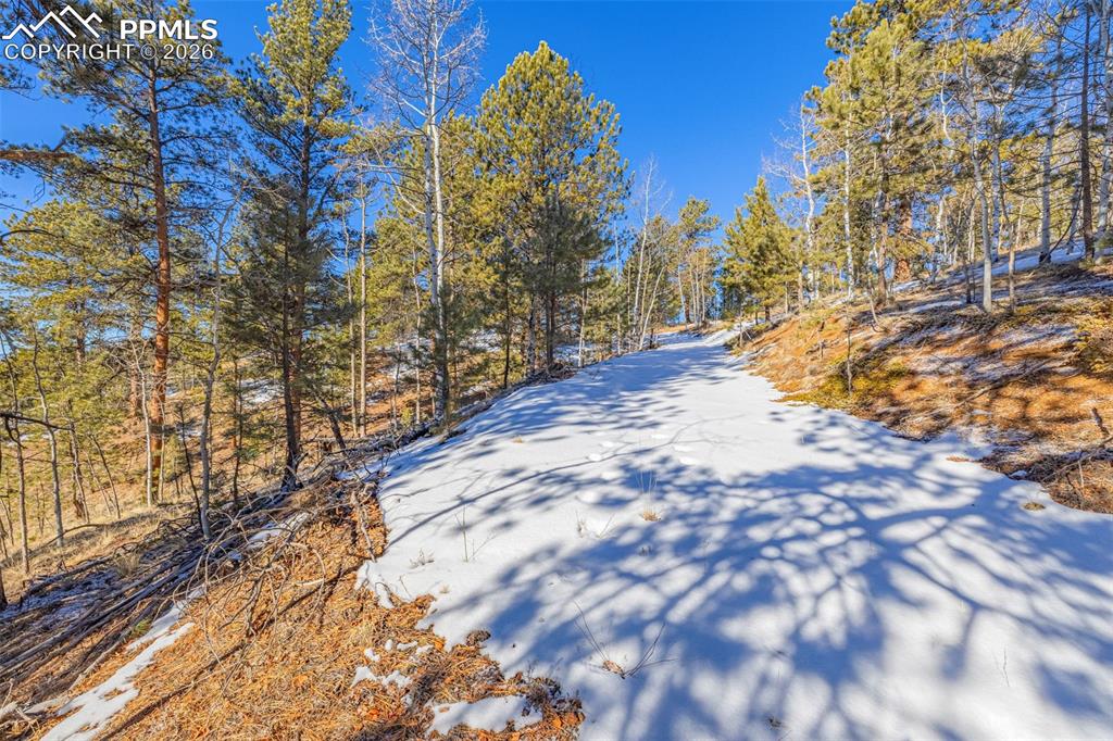 772 E Bison Creek Trail