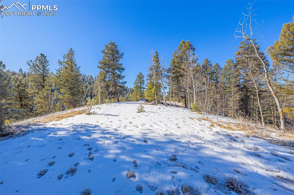 772 E Bison Creek Trail