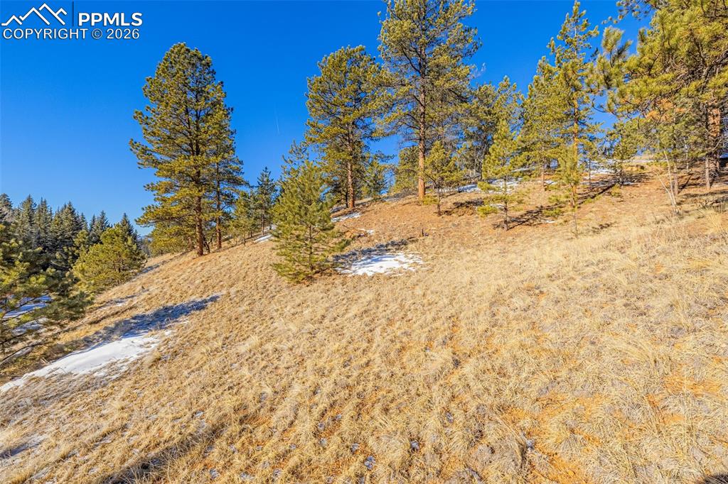 772 E Bison Creek Trail