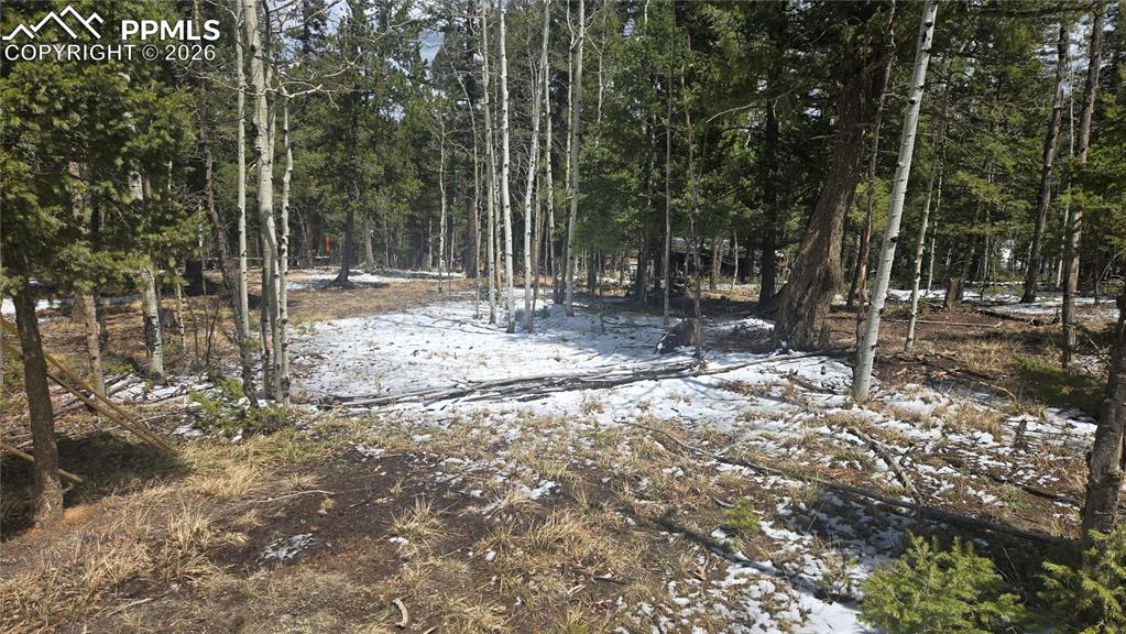 144 Little Bear Peak Road