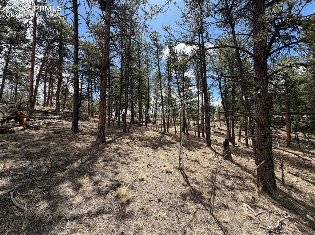 2988 Pikes Peak Drive