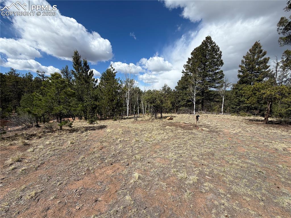 2988 Pikes Peak Drive