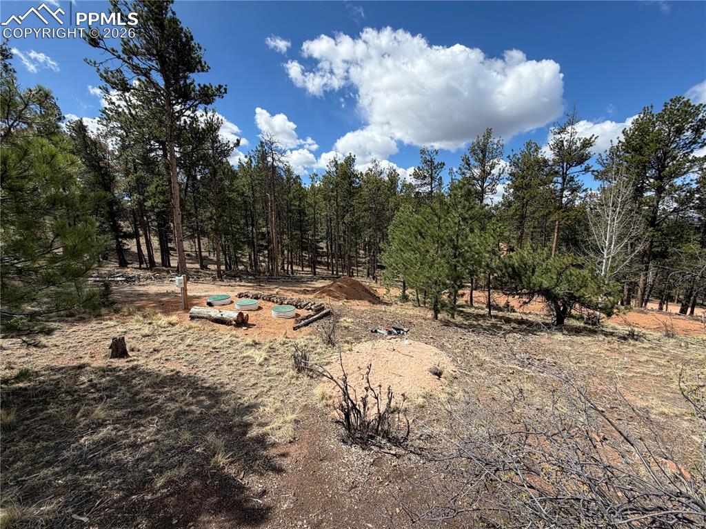 2988 Pikes Peak Drive