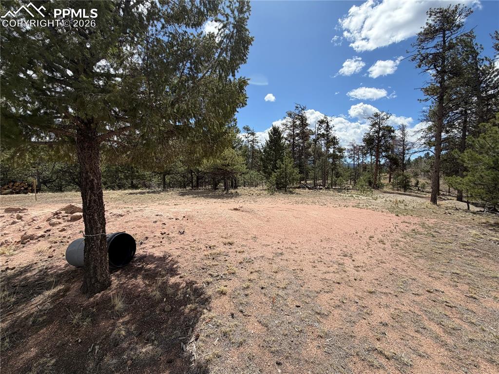 2988 Pikes Peak Drive