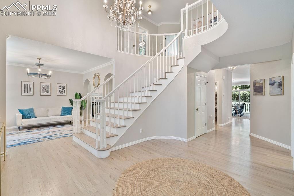 17695 Roller Coaster Road