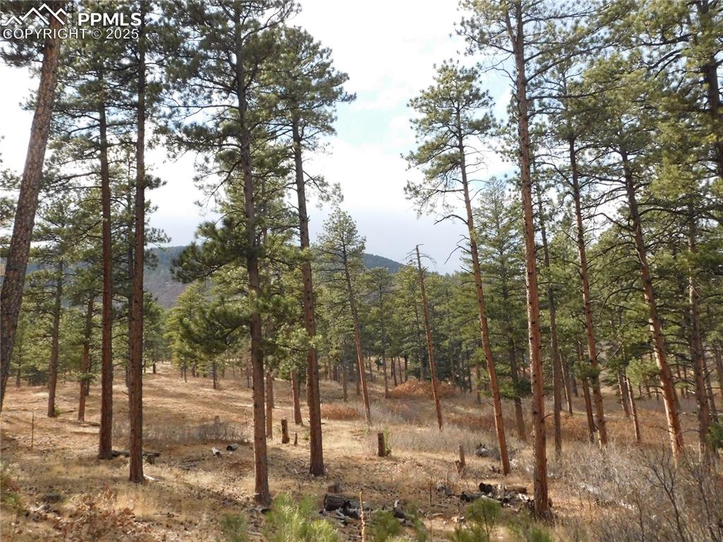 8139 Bannock Drive