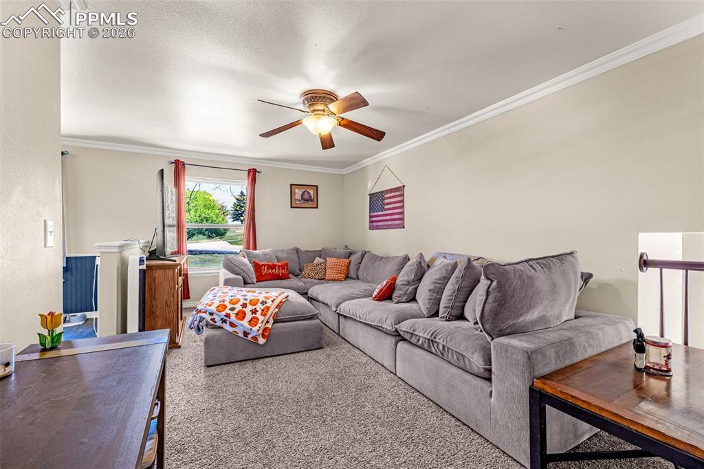 7115 Grand Valley Drive