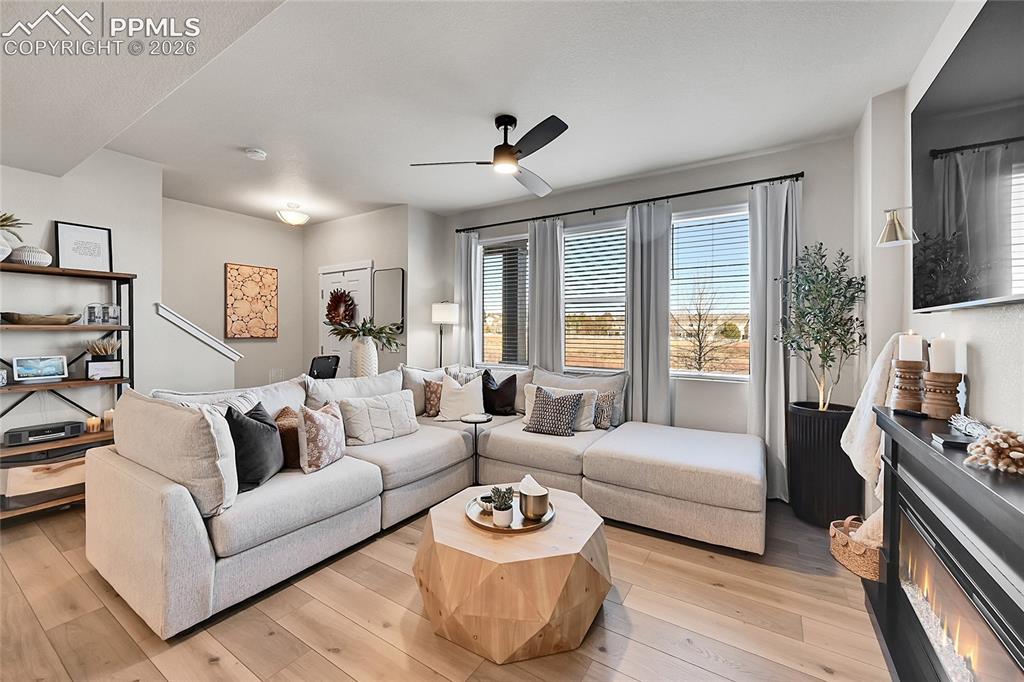 3635 Levy Park Drive