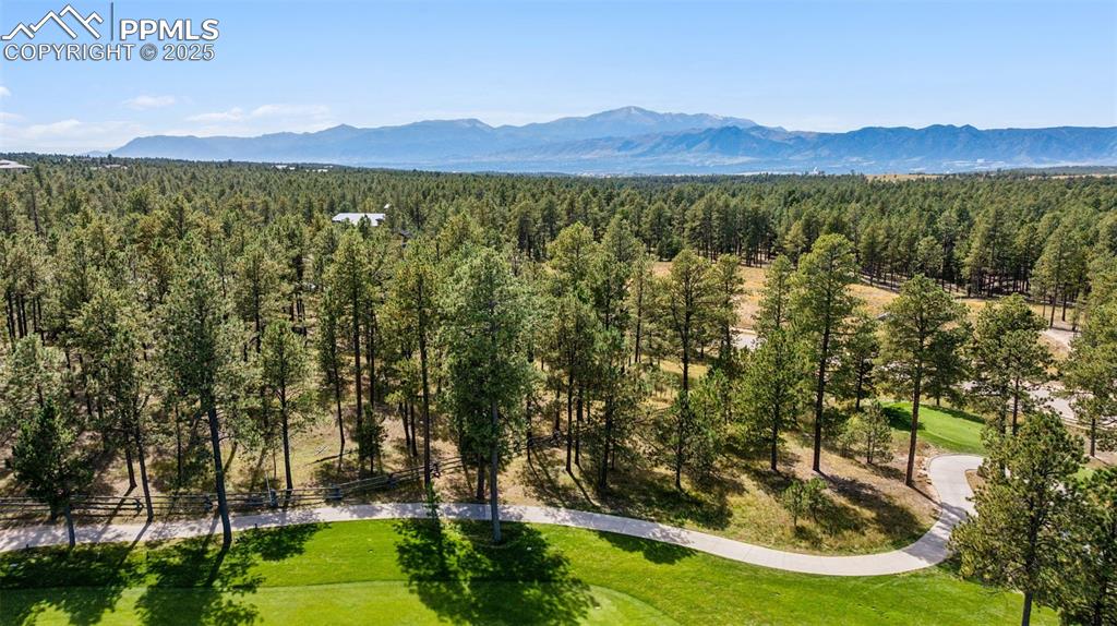 14981 Quartz Creek Drive