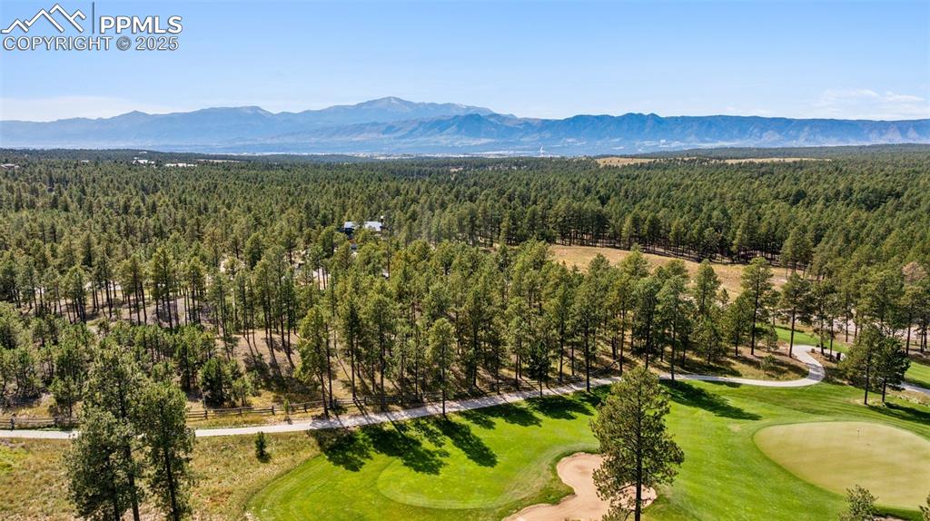 14981 Quartz Creek Drive