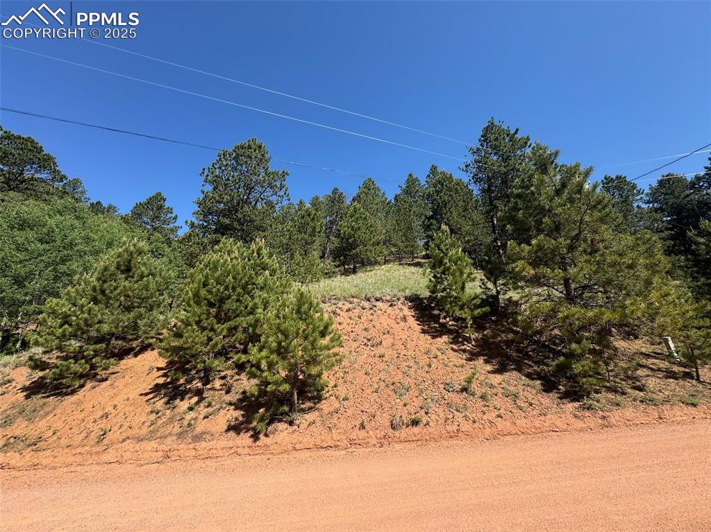 281 Pikes Peak Drive