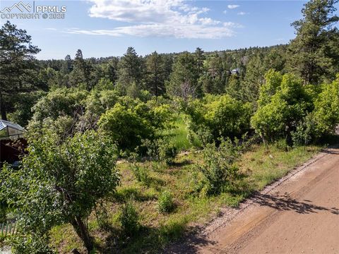 Buena Vista Avenue Palmer Lake CO 80133
