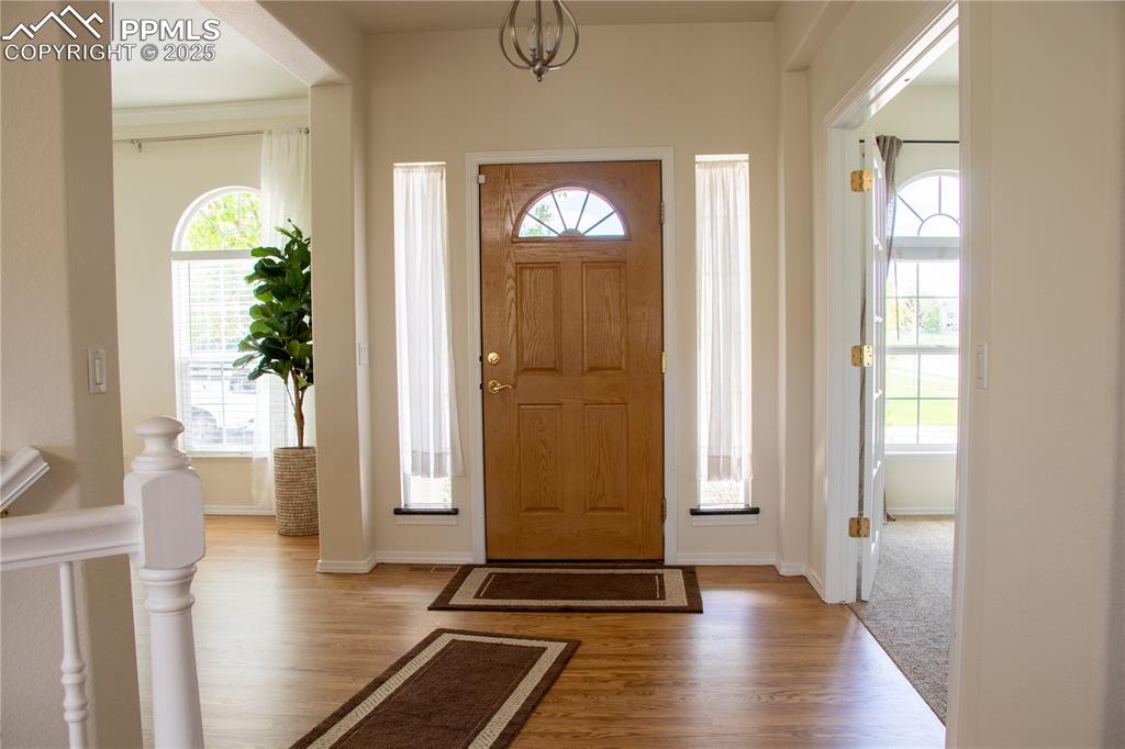 698 Larimer Creek Drive