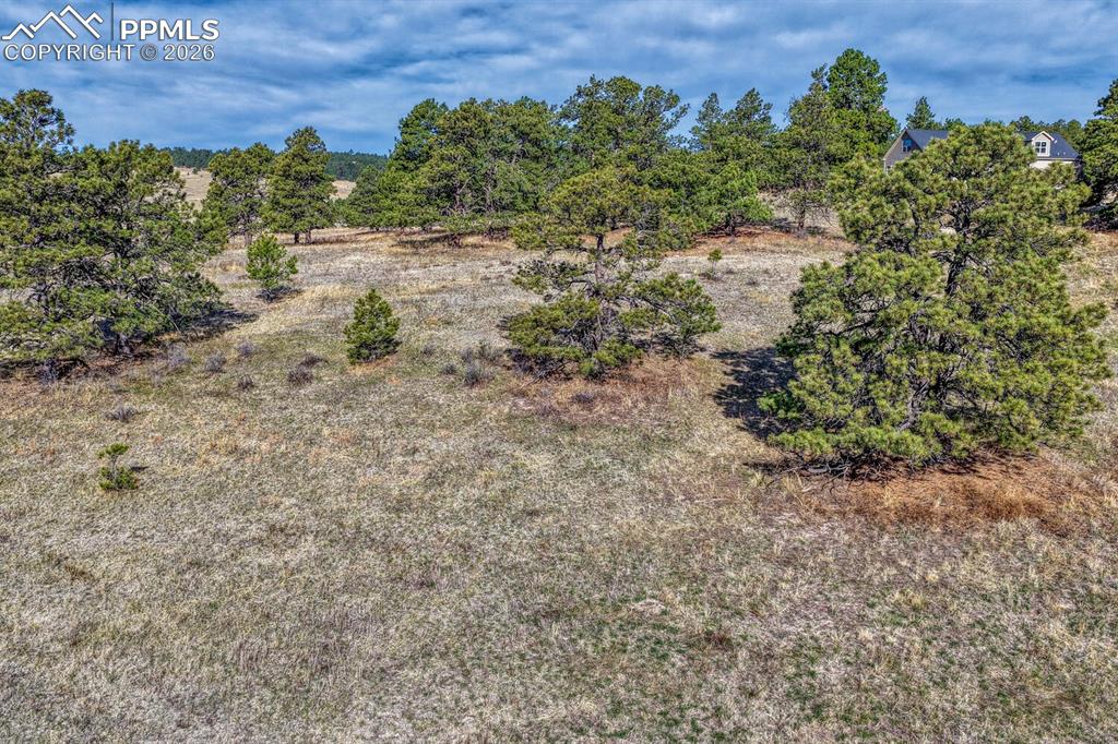 17265 Warriors Path Drive