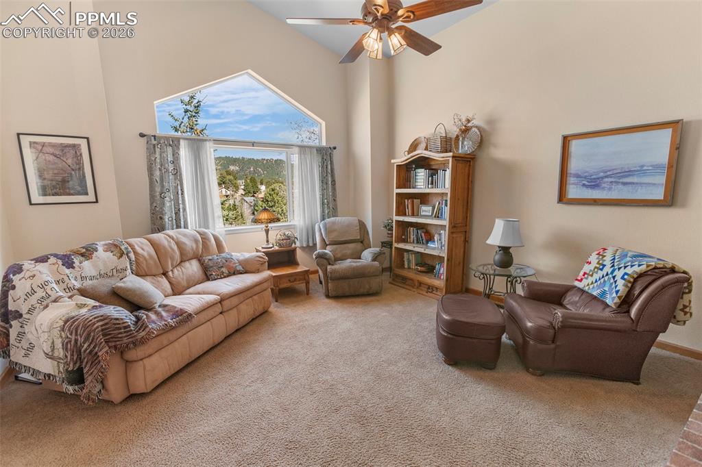 481 Black Bear Trail