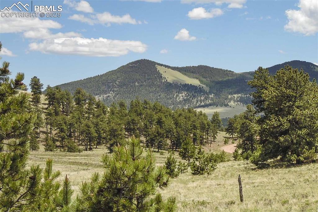 129 Eagle Nest Trail