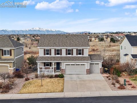 10952 Torreys Peak Way Peyton CO 80831