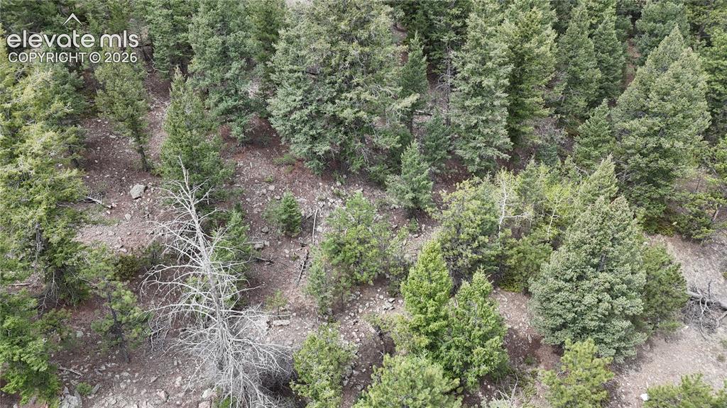 4943 County Road 11