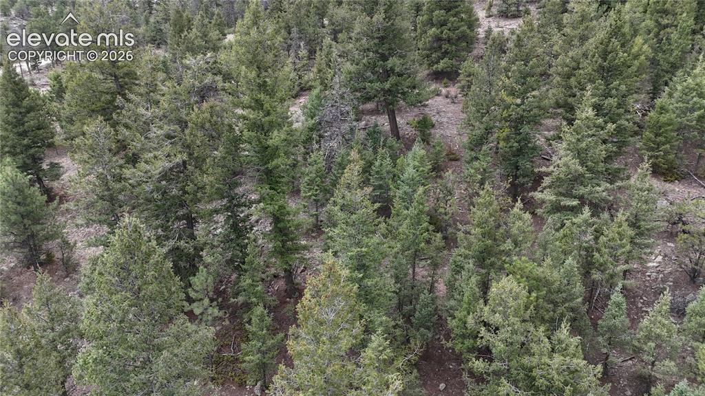 4943 County Road 11
