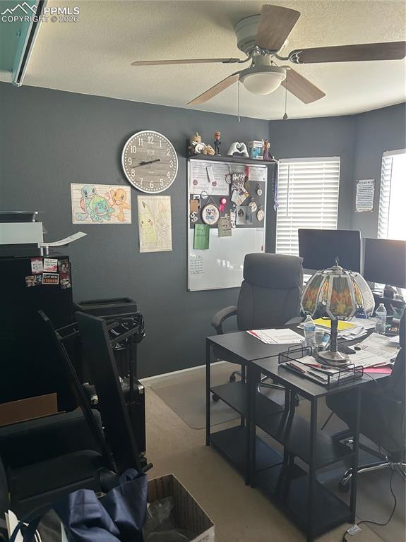 8123 Sedgewick Drive