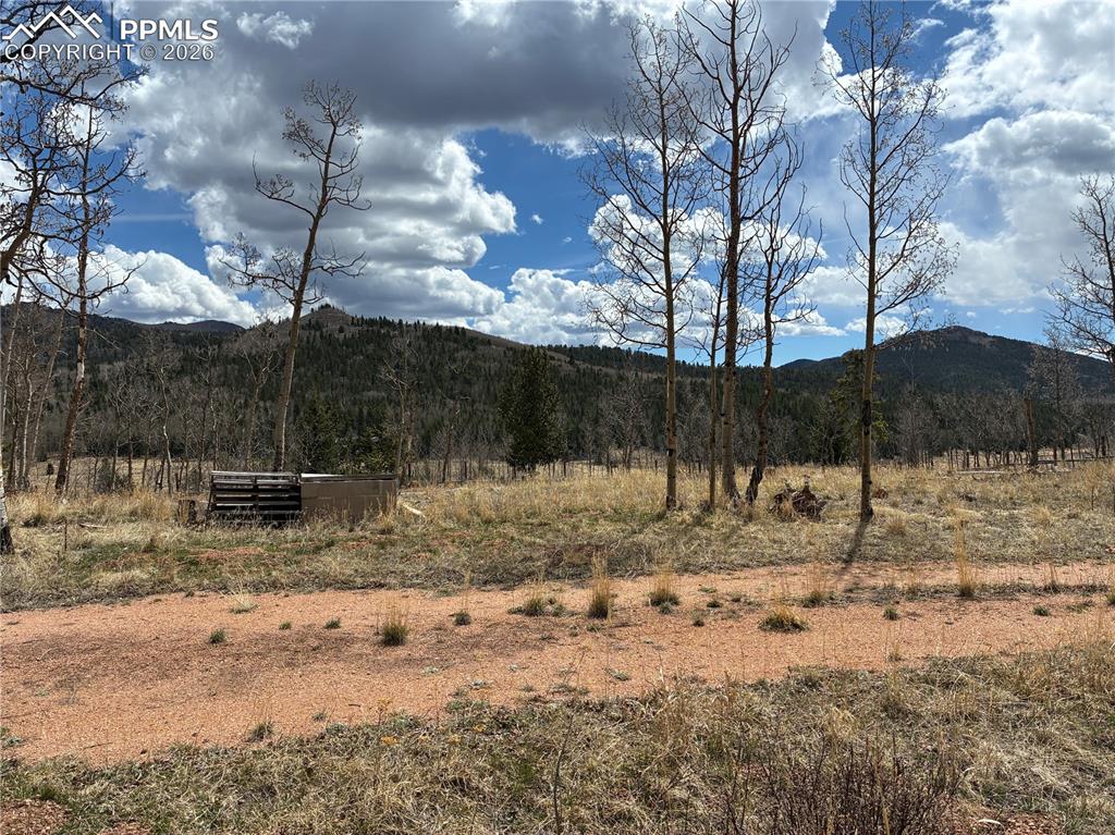 12201 S Highway 67