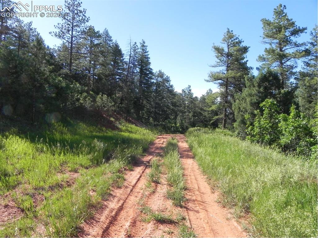 8117 Acoma Drive, Larkspur, CO, 80118 8117 Acoma Drive