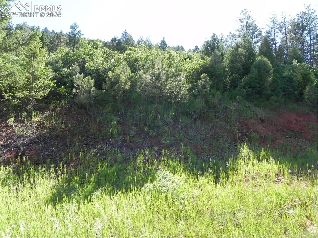 8117 Acoma Drive, Larkspur, CO, 80118 8117 Acoma Drive