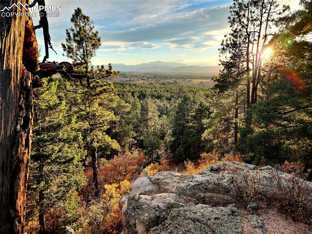 4450 Walker Ridge View