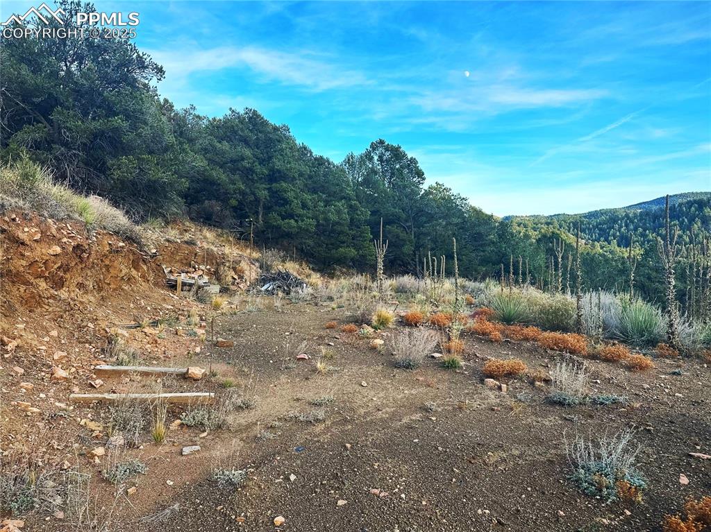 2973 Driftwood Road