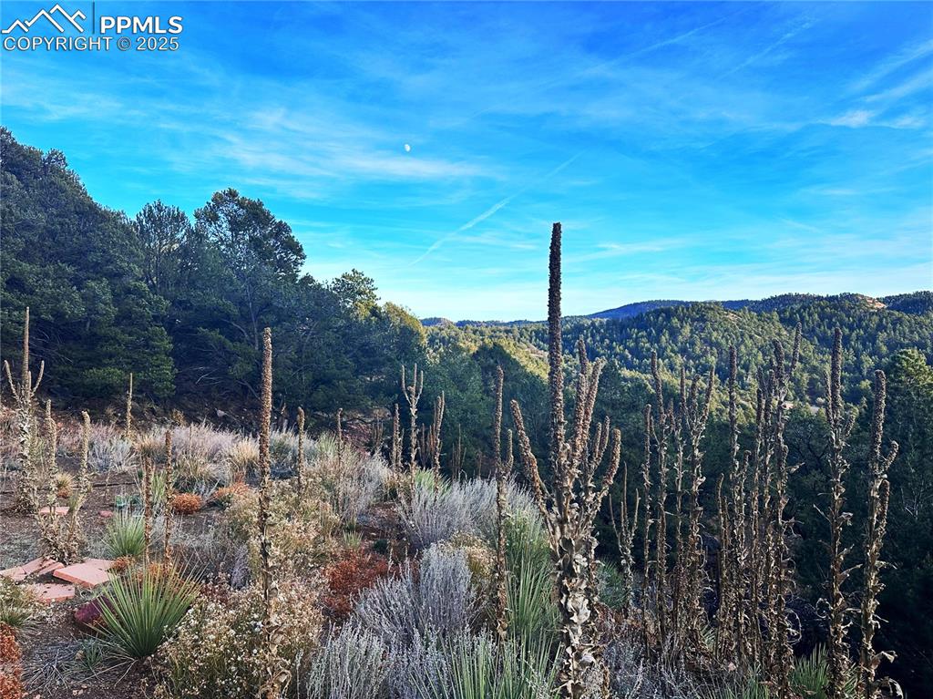 2973 Driftwood Road
