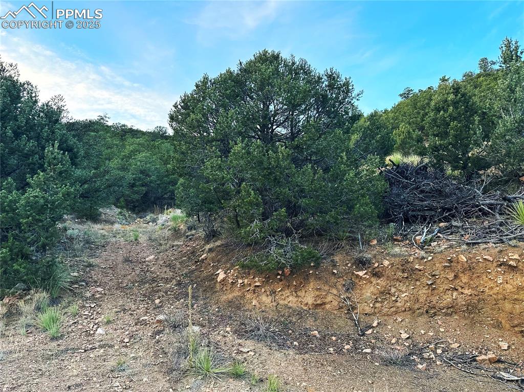 2973 Driftwood Road