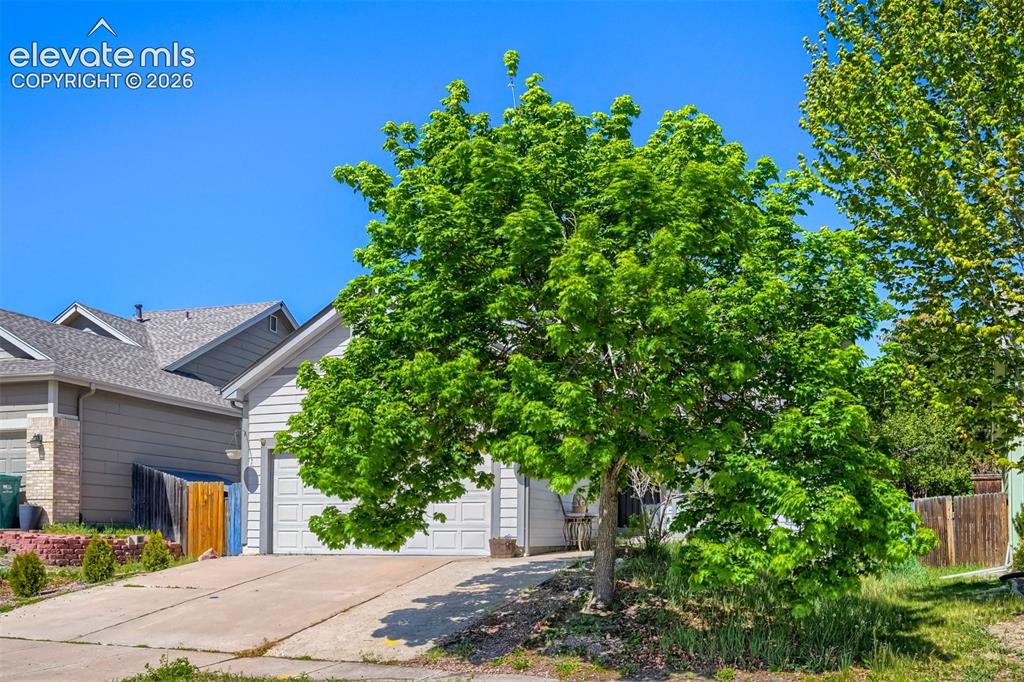 4966 Ardley Drive