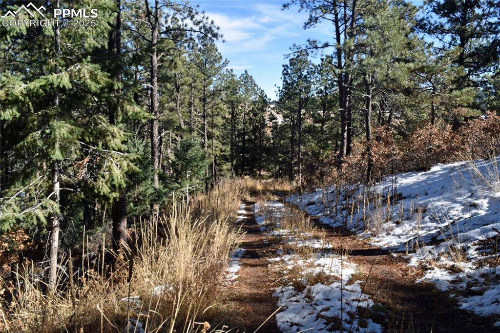 12778 Greenland Acres Road