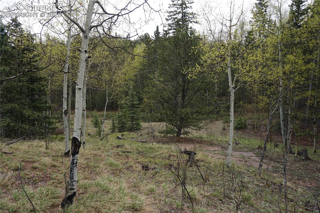 Vacant Land