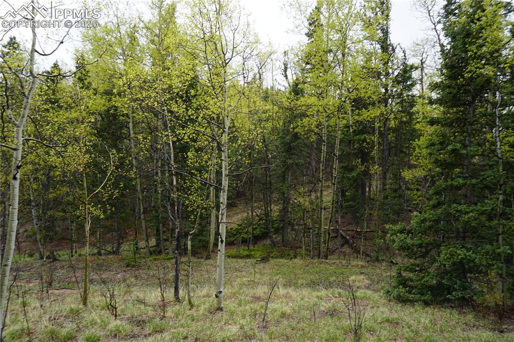 Vacant Land