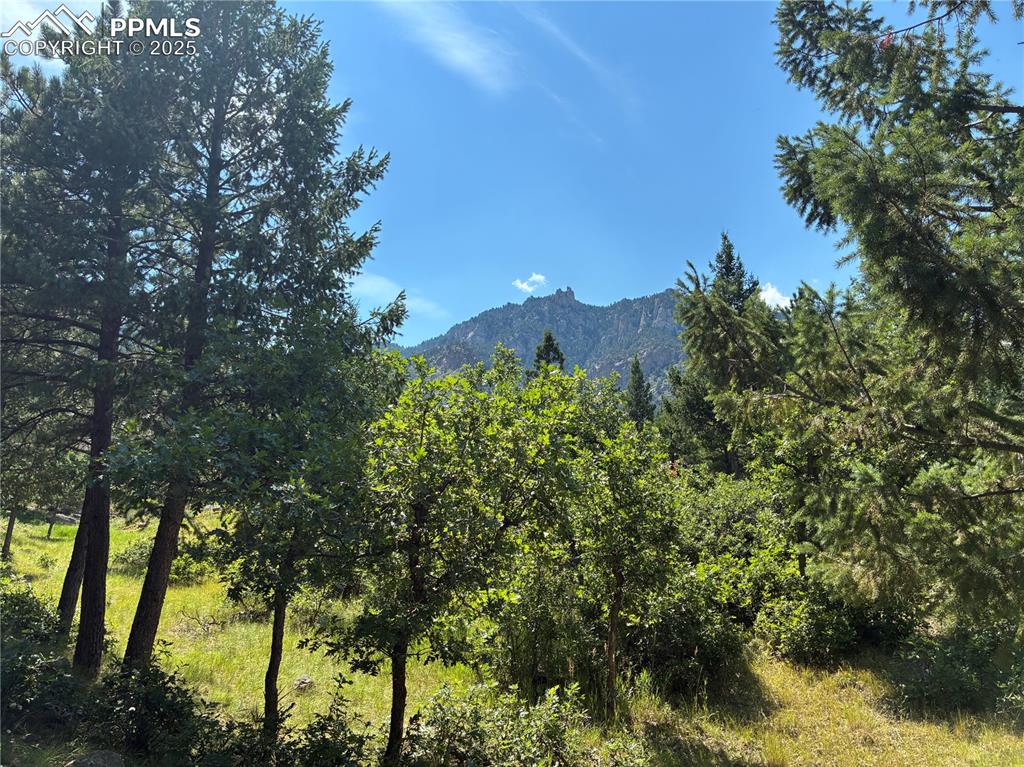 920 Grey Mountain Point